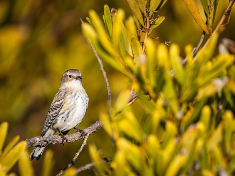 Close up of eye looking into the distance calmly.