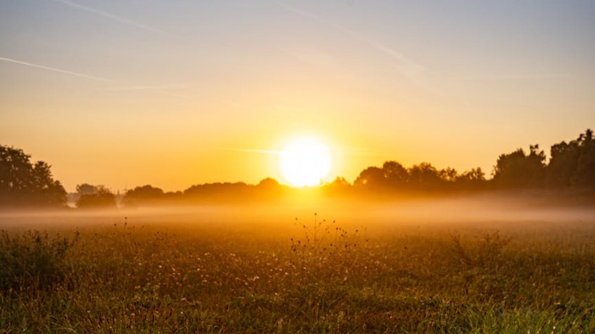 Serene landscape with soft focus and natural morning light.